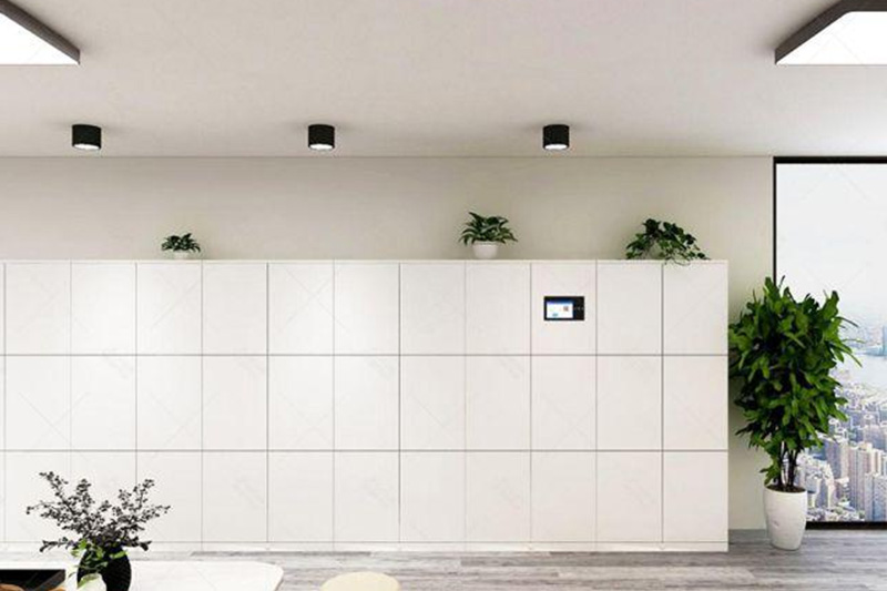 储物柜存取物流程